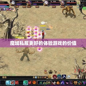 魔域私服更好的体验游戏的价值