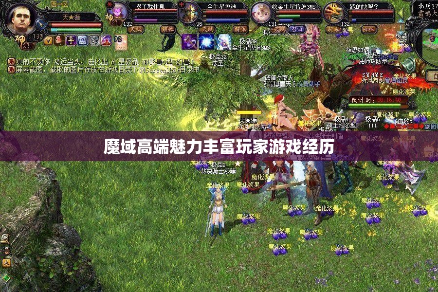 魔域高端魅力丰富玩家游戏经历