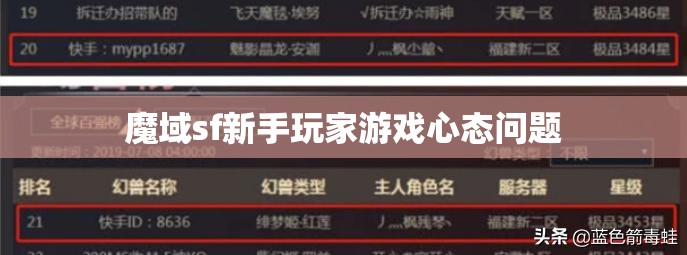 魔域sf新手玩家游戏心态问题