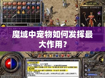 魔域中宠物如何发挥最大作用？