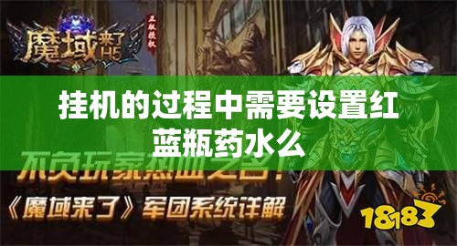 挂机的过程中需要设置红蓝瓶药水么