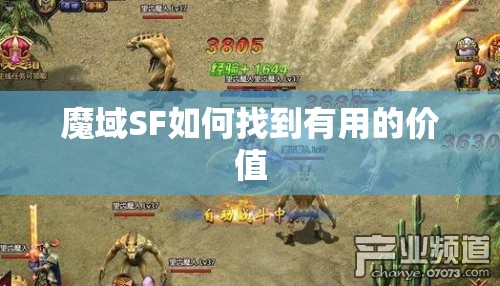 魔域SF如何找到有用的价值