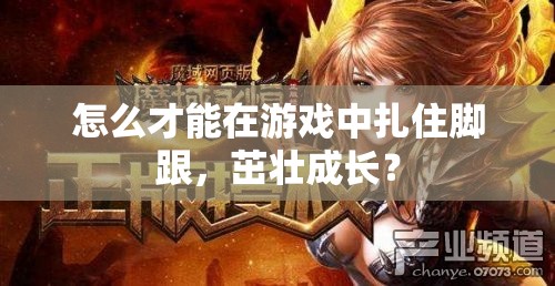 怎么才能在游戏中扎住脚跟，茁壮成长？